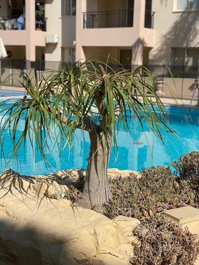 Royal Seacrest F G5 Ground Floor Apartment Paphos Exteriör bild