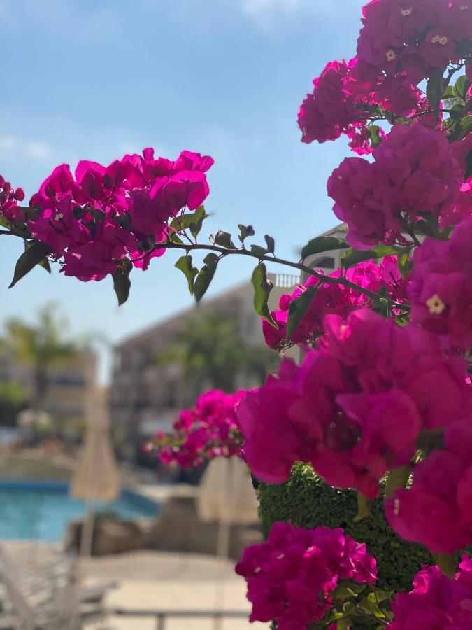 Royal Seacrest F G5 Ground Floor Apartment Paphos Exteriör bild